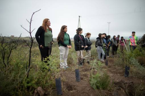 TAREAS DE REFORESTACION EN LA RESERVA MUNICIPAL KAUFFMANN